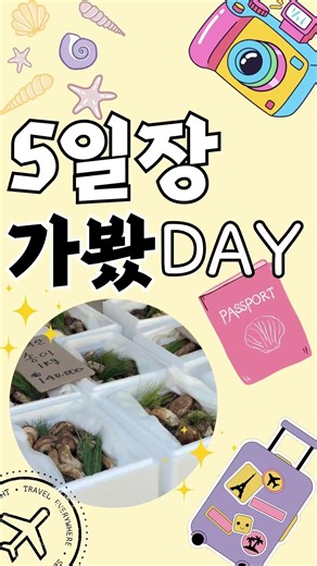 #5일장 #시장구경 #생일 #추석 #대구시장투어 곧 둘째 생일이라 장보러 다녀왔어요. 곧 추석이니까 평일 오전에도 사람들 바글바글 반찬 맛집으로 유명한 곳은 평일 오전인데도 웨이팅🤣 먹거리도 많고 추석 장보기도 좋은 5일장❤️ 어딘지 궁금하시면 댓글에 “시장”이라고 달아주세요😊