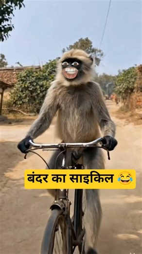 बंदर का साइकिल 😂#comedy #funny #rakesh_R0 #funnyvideo