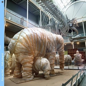 Parc En Ciel - Path Integral