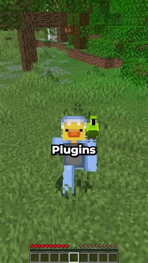 You didn’t know these ones #minecraft #plugins #fyp
