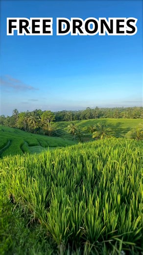 FREE DRONES GIFTS! ✅ Free shipping, no fees! | Promotions Shein