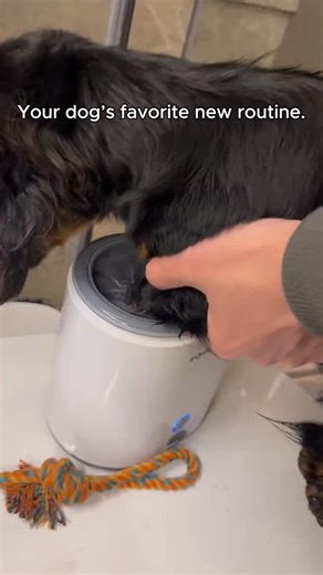 Geek Want on Instagram: "𝐏𝐫𝐨𝐝𝐮𝐜𝐭 𝐋𝐢𝐧𝐤 𝐢𝐧 𝐁𝐢𝐨 @geekwant⁠ ⁠ Keep your floors spotless and your pets comfortable with this Automatic Pet Paw Washer.⁠ It gently rotates to remove dirt, mud, and germs from your pet’s paws in seconds — no mess, no struggle.⁠ Perfect for dog and cat owners who want quick, safe, and convenient paw cleaning after every walk.⁠ ⁠ Product: Automatic Cleaning Pet Paw Washer⁠ ⁠ ▶️ No copyright intended. Please send us a DM for any inquiries.⁠ ⁠ #productdesign 