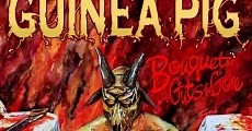 American Guinea Pig: Bouquet of Guts and Gore (2014)  - Ver Película Completa en Español - FULLTV