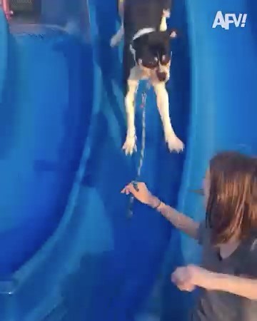 254K views · 2.6K reactions | The fails are in full swing 露‍♂️ | America's Funniest Home Videos | Facebook