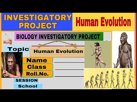 Investigatory Project—Human Evolution/Evolution of Man/class 12/ Biology/29 th project/ by Neerja