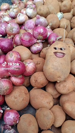 😁_FANE 20 TV😁 (@fane20tv)’s videos with son original - 😁_FANE 20 TV😁