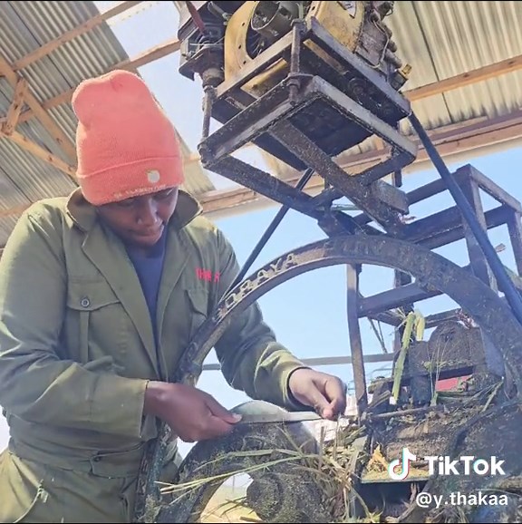 Chaff Cutter Maintenance: Sharpen, Grease, and General Service