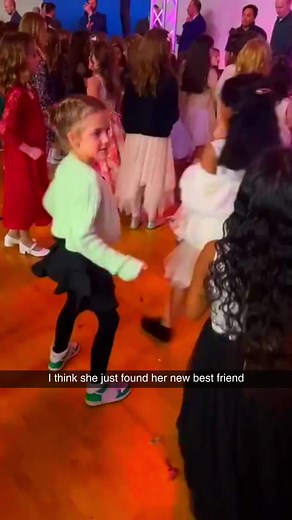 Funny Dog Videos On TikTok | Hilarious Meme Compilation