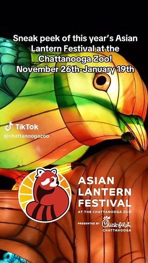 Asian Lantern Festival Preview at Chattanooga Zoo