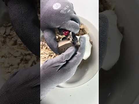 STOP scrolling 🛑🧼These microwaved soaps were made to be crushed and cut 😌💦