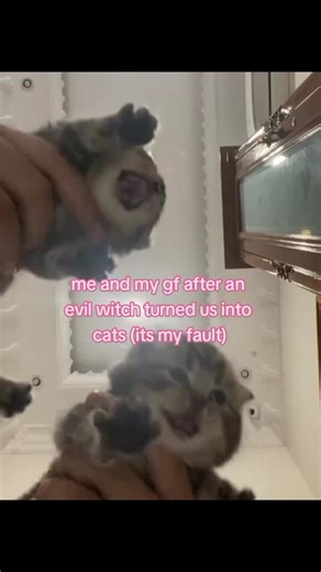 Transformed into Kittens by an Evil Witch with My Girlfriend