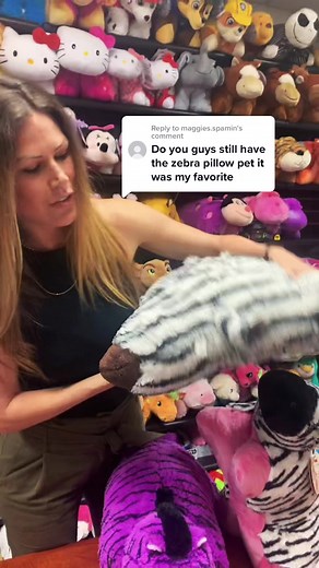 Vintage Zebra Pillow Pets Collection Showcase