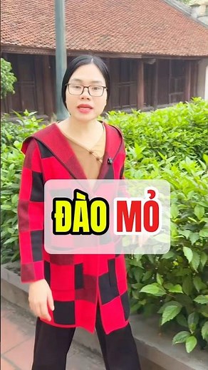 Đào mỏ #haihuoc #giaitri #funny #comedy #vuinhon #giadinh #xuantrieu