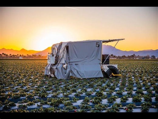 Advanced Farm Technologies strawberry picking robot | Maria Rasputina