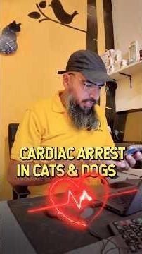 Primary reason for cardiac arrest (heart attack) in cats and dogs