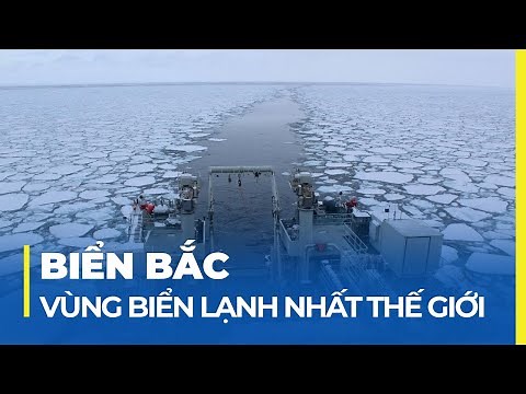 BIỂN BẮC: VÙNG BIỂN LẠNH NHẤT THẾ GIỚI