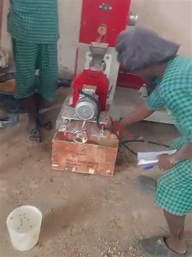 Fish Feed Extruder Machine Insights for Nigeria