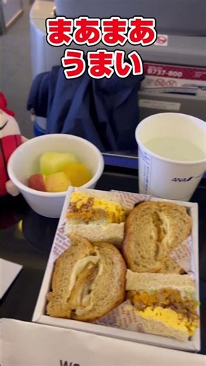 ANA便プレミアムシートの軽食 #ana