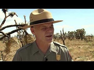 Wildfire in Mojave Desert destroys iconic Joshua trees