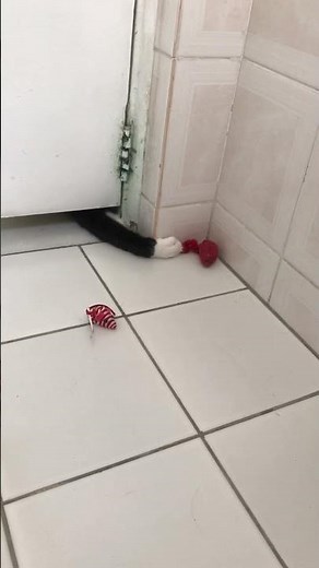 Lili playin’ in the bathroom.