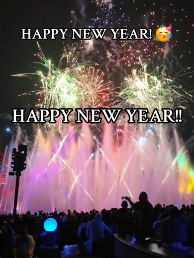 HAPPY NEW YEAR EVERYONE!!! #happynewyear #disneyland #californiaadventure #disneyparks #disney @a.
