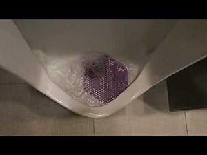 Embassy Suites by Hilton Chicago O'Hare Men's Restroom Full Shoot