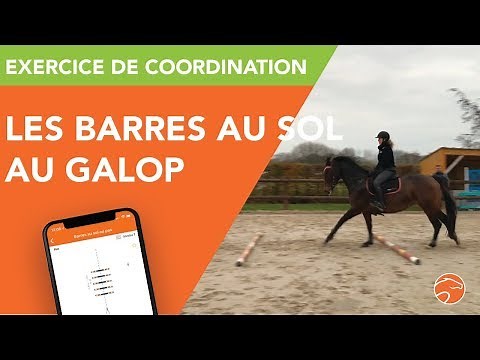 Exercice de coordination, les barres au sol au galop