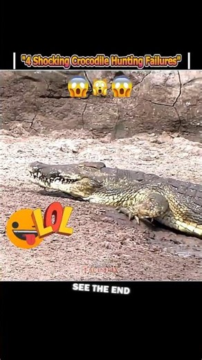 Crocodile Attack vs Lucky Prey 🆚🔥 #shorts #wildlife #fails...