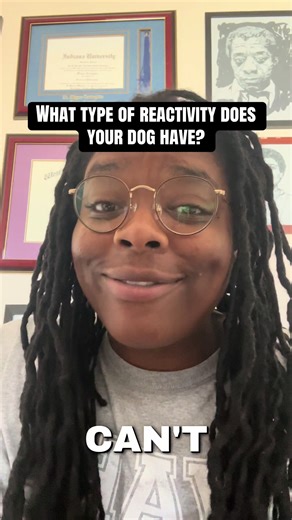 Not all reactivity = aggression Here’s how to tell which type your dog has. 🐶 #dogtok #pitbullsoftiktok #dogtrainingtips #reactivedogs
