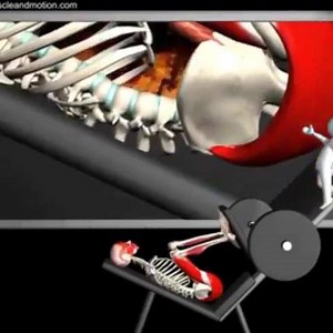 Like and share Gym Guide for more updates | Gym Guide