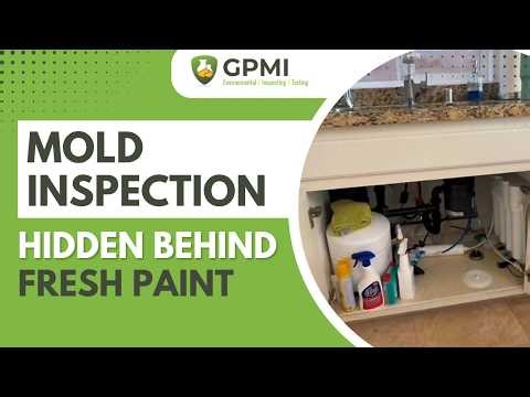 Mold Inspection in Newport Coast: Active Mold Hidden Painted Over Before Sale | GPMI