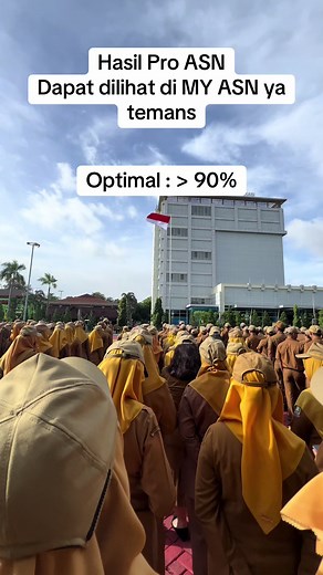 Cara Cek Kategori Pro ASN: Optimal, Cukup, atau Kurang