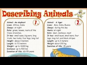 Describing Animals(writing essay)