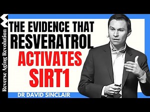 The Evidence That Resveratrol Activates SIRT1 | Dr David Sinclair Interview Clips
