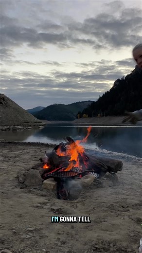 Engaging Storytime: 3 Cougar Encounters in Montana