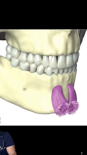 Isn’t anatomy fascinating? #golfballchin #chin #mentalis #anatomy | anatomy