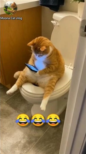 This Cat Is Scrolling Phone on Toilet 😂🐱 #shorts #ai #ytshorts