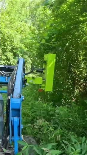 The Lane Shark LS3 makes quick work of a TON of overgrown limbs