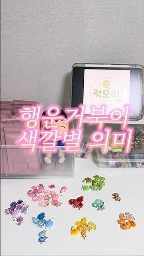 행운거북이 색깔마다 의미가 다르다고?!