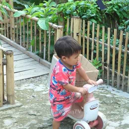 28K views · 724 reactions | selling sticky corn at the market, preparing a new home for the dog about to give birth part 4 | Toby Meadows | Facebook