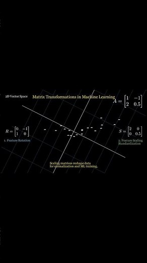 Matrix Transformation Explained Visually 🔄 | Linear Algebra