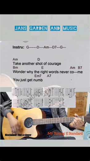 423K views · 6.2K reactions | Jam Demos Tequila Sunrise -Eagles-...