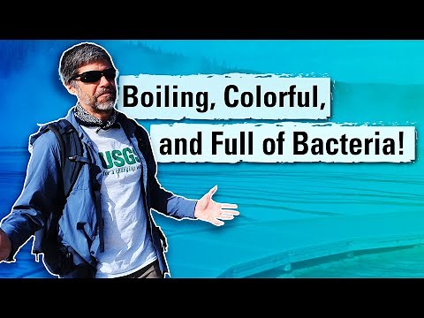 Grand Prismatic Spring: Boiling, colorful & full of bacteria (Yellowstone Monthly Update, July 2025)
