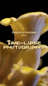 180 reactions | How do you tell a long story within minutes or seconds? Create a minute of days' worth of footage by learning the timelapse function! ⏰  #canon #camera #photography #videography #canonhowtoseries #dslr #mirrorless #timelapse | Canon Imaging Asia | Facebook