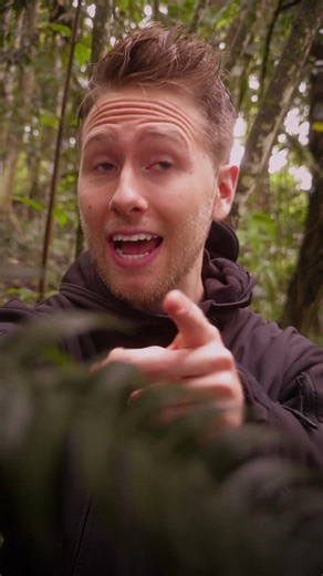 Tu video se ve PLANO por esto‼️🎥 #fotografia #tipsdefoto #creadordecontenido #smartphone #videotips