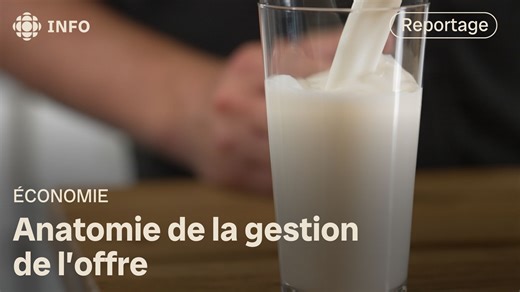 80K views · 591 reactions | Le Canada est l'un des derniers pays à posséder un système de gestion de l'offre. Il assure une stabilité aux producteurs de lait, de volaille et d'œufs et aussi aux consommateurs. Mais face aux pressions venues d'ailleurs, au prix élevé des quotas et aux débats sur son efficacité, ce pilier de notre agriculture fait face à des défis majeurs pour son avenir. | La semaine verte | Facebook