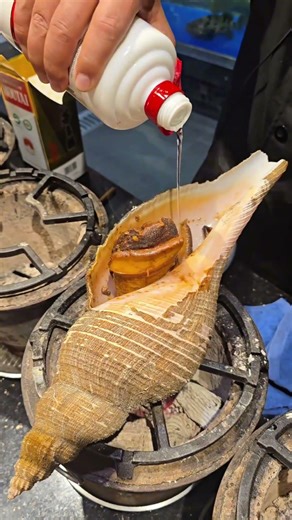 $280 Charcoal Grilled Sea Snail: Luxury Dining in China! 🔥 | Home Kitchen Chin