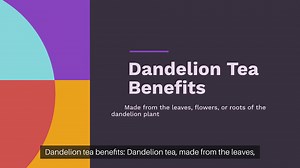 Dandelion tea benefits