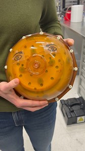 95K views · 142 reactions | What’s the spherical object with eyes?...