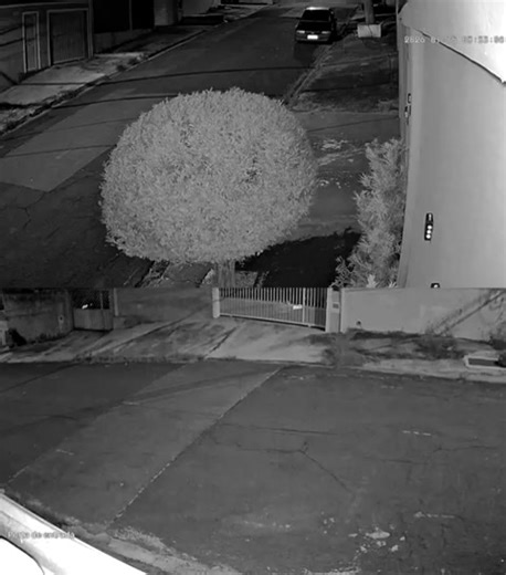 Moto Titan 160 roubada de dentro do condomínio no DIC 6, as 3:30 da madrugada dia 15/01. Placa EJX-3C15. Supostamente última vez foi vista no DIC 2, as 5h da manhã sendo empurrada por outras duas motos. Moto de pai de família usada para trabalho!! | Portal de notícias alerta Campinas